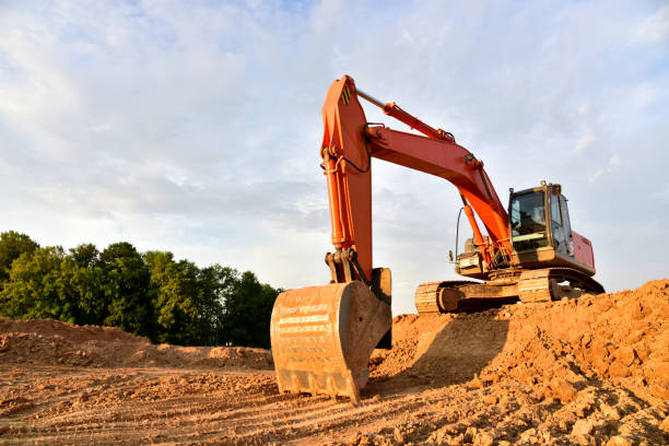 istockphoto-1294025936-612x612